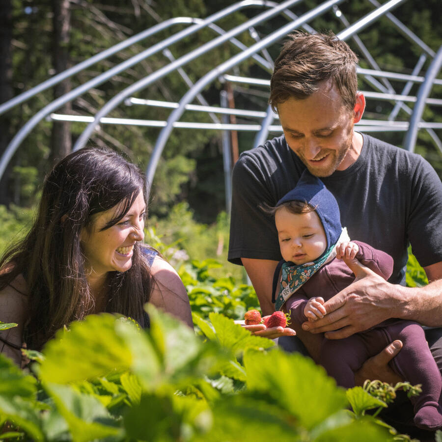 Two people in a garden with a baby. Sunny weather and lush greenery around them.