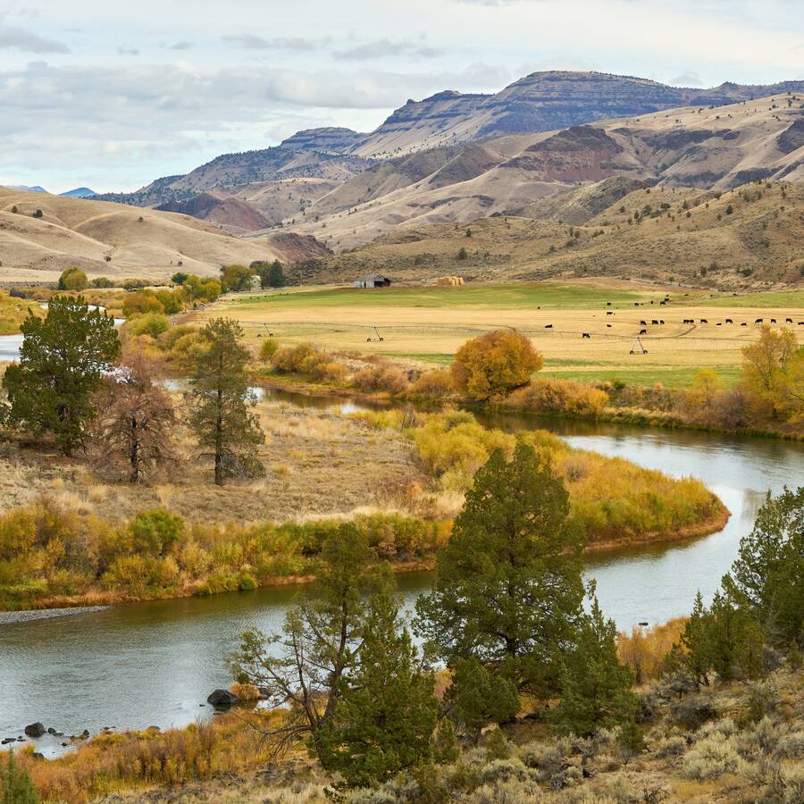 Landscape photo of some trees, hills, and fields, with a bending river running through it.
